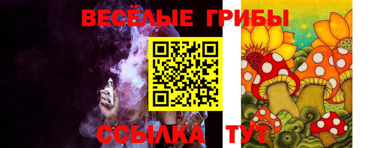 Галлюциногенные грибы Psilocybine cubensis Знаменск
